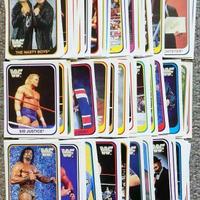 Trading Cards WWF Carte Wrestling Merlin 1991