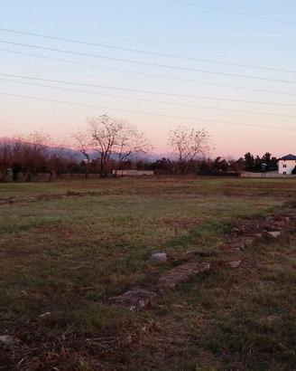 terreno agricolo