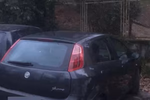 Punto 