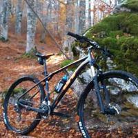 Mtb GT taglia L