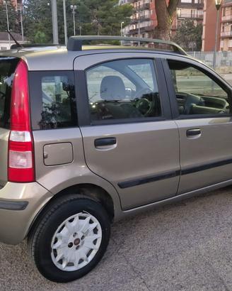 Panda a metano