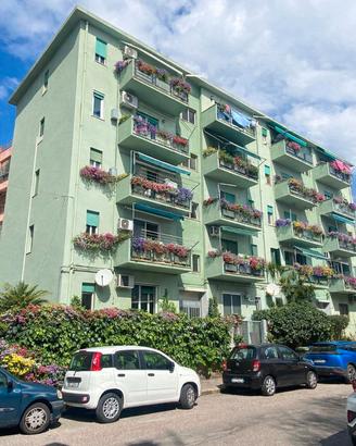 Grazioso ampio trivano investimento