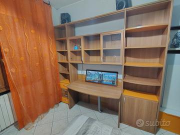 libreria in noce cm250x230 
