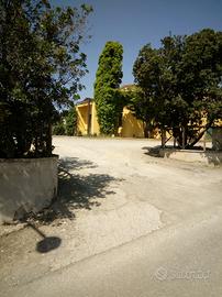 Appartamento Bilocale