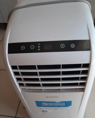 pinguino refrigerante 