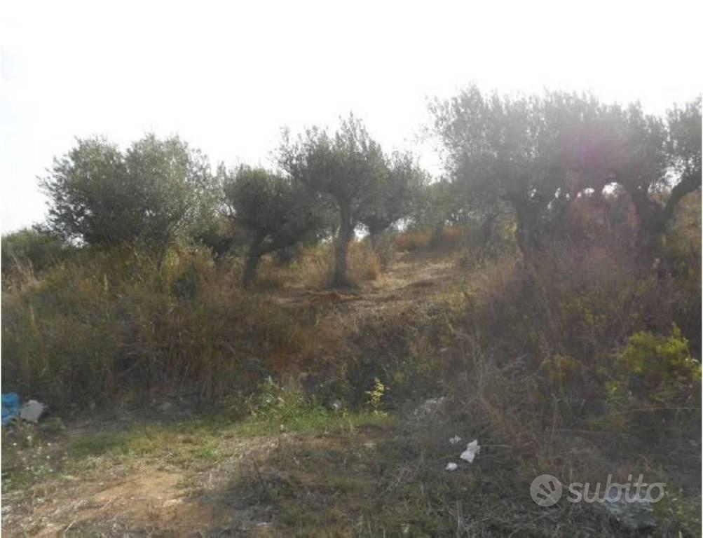 Immobile in asta di 15825 m² a Alcamo - Vista 5