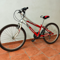 Bicicletta da ragazzo