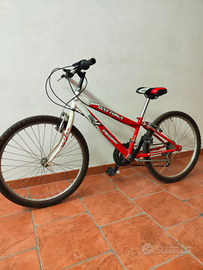 Bicicletta da ragazzo