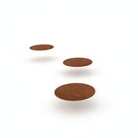 Pietra Pannello Calpestabile Robusto rotonda 50 D