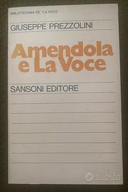 Giuseppe Prezzolini Amendola e La Voce