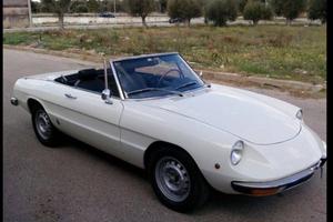 Alfa romeo spider