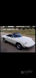 Alfa romeo spider
