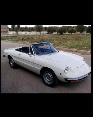 Alfa romeo spider