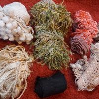 Merletti e bordi vintage