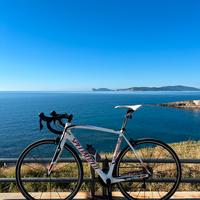 Bici da corsa Specialized