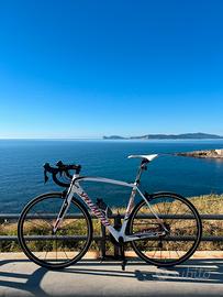 Bici da corsa Specialized