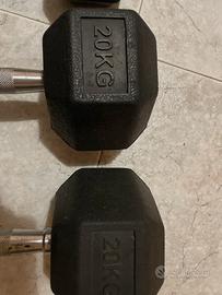 Manubri esagonali 20 kg