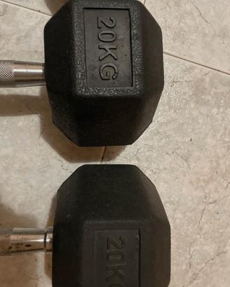 Manubri esagonali 20 kg