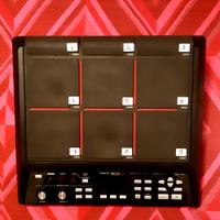 Roland SPD SX 8GB.