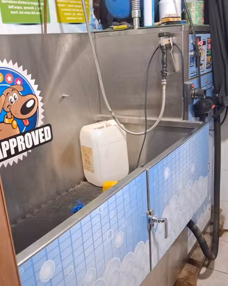 lavaggio per cani self service