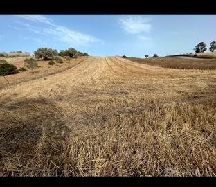 Terreno agricolo sestu acqua irrigua disponibile