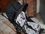 Immagine 2
