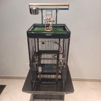 gabbia per papagalli 