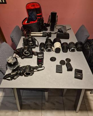 Macchine fotografiche Canon + borse ed accessori