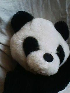 Zainetto a forma di PANDA peluche - imbottito
