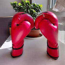 Guantoni da Boxe 16oz