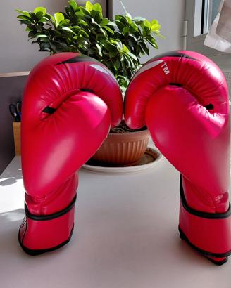 Guantoni da Boxe 16oz