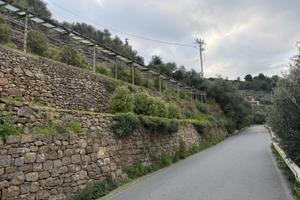 Terreno agricolo