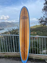 Tavola surf  -9’-22”  2/5-2” -3/4