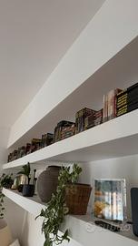 Collezione Dylan Dog e Julia