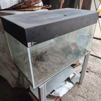Teca acquario per pesci