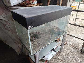 Teca acquario per pesci