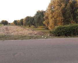 Terreno agricolo Leporano