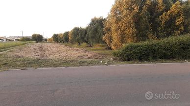 Terreno agricolo Leporano