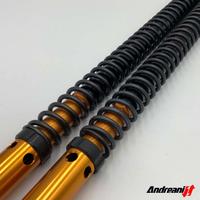 Cartucce Forcella Andreani Misano Rally Race Honda