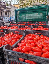Pomodoro San Marzano sul Sarno