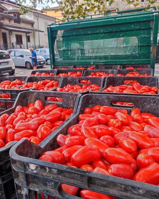 Pomodoro San Marzano sul Sarno