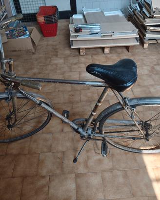 bicicletta da uomo