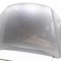 COFANO ANTERIORE VOLKSWAGEN Tiguan 1Â° Serie 5N082