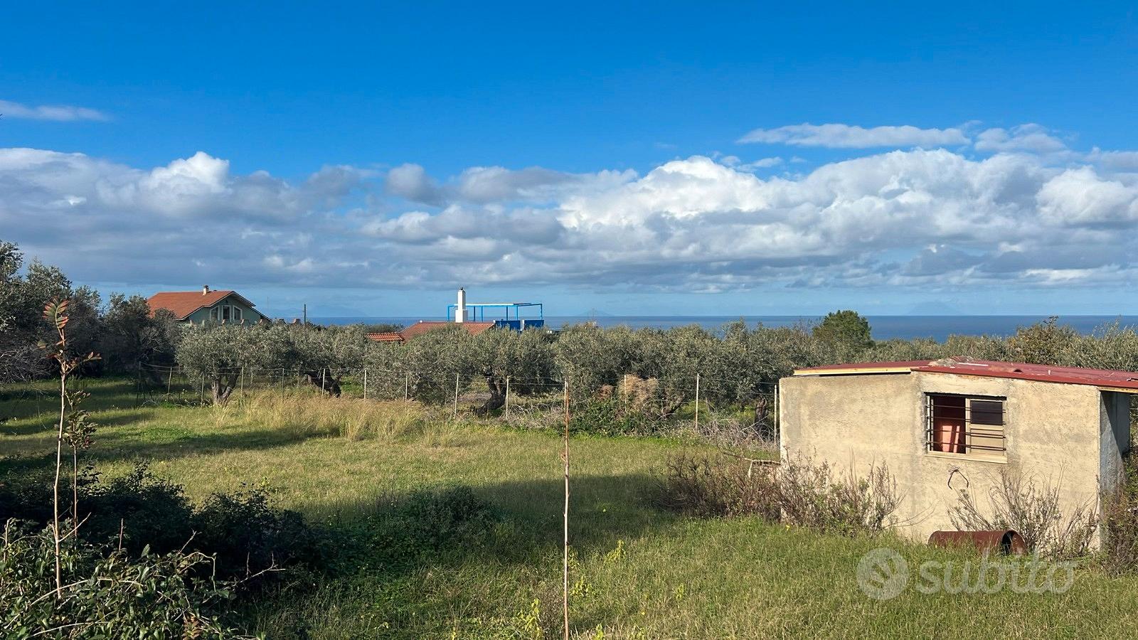Terreno agricolo pianeggiante carrabile - Altro