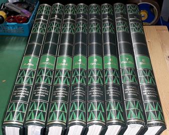 La Montagna - Grande Enciclopedia Illustrata - 8 V