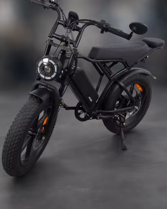 bicicletta elettrica 