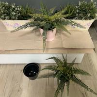 6 Piante finte per il balcone con vaso e portavaso