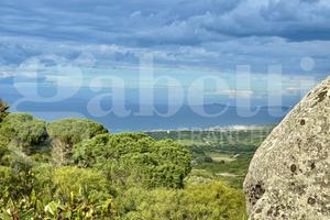 Rustico/Casale/Corte Aglientu [724VRG]