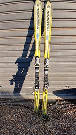 sci Rossignol 