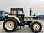 Immagine 11